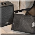 E01. Peavey PVi 10 "two-way" PA speakers. 